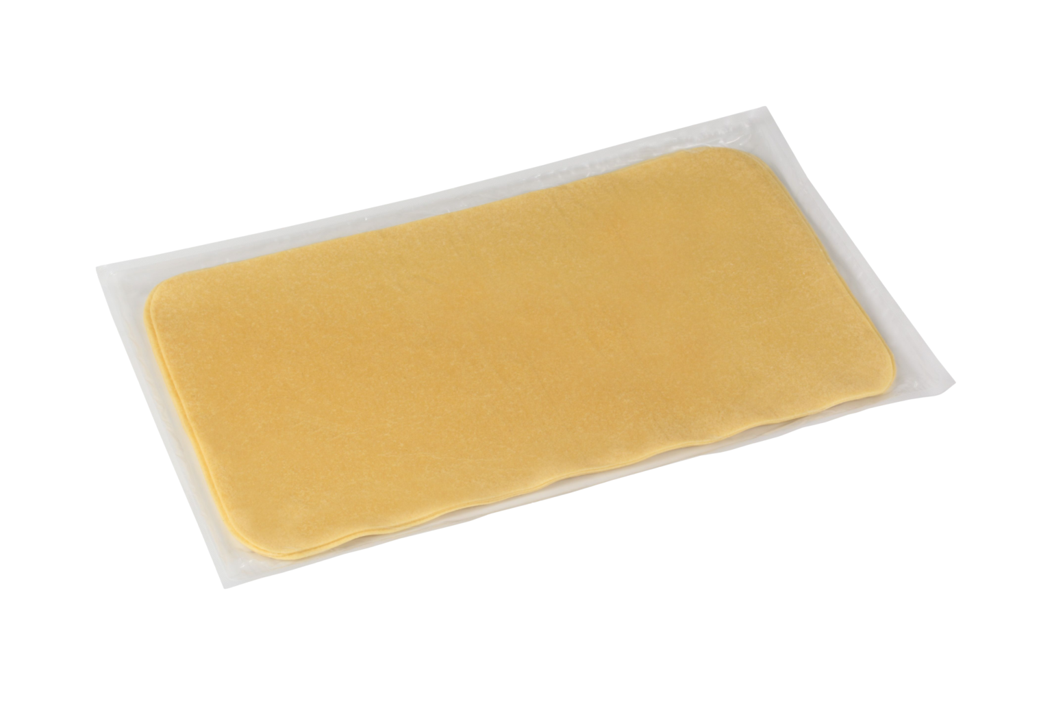 lasagneplatte_Transparent